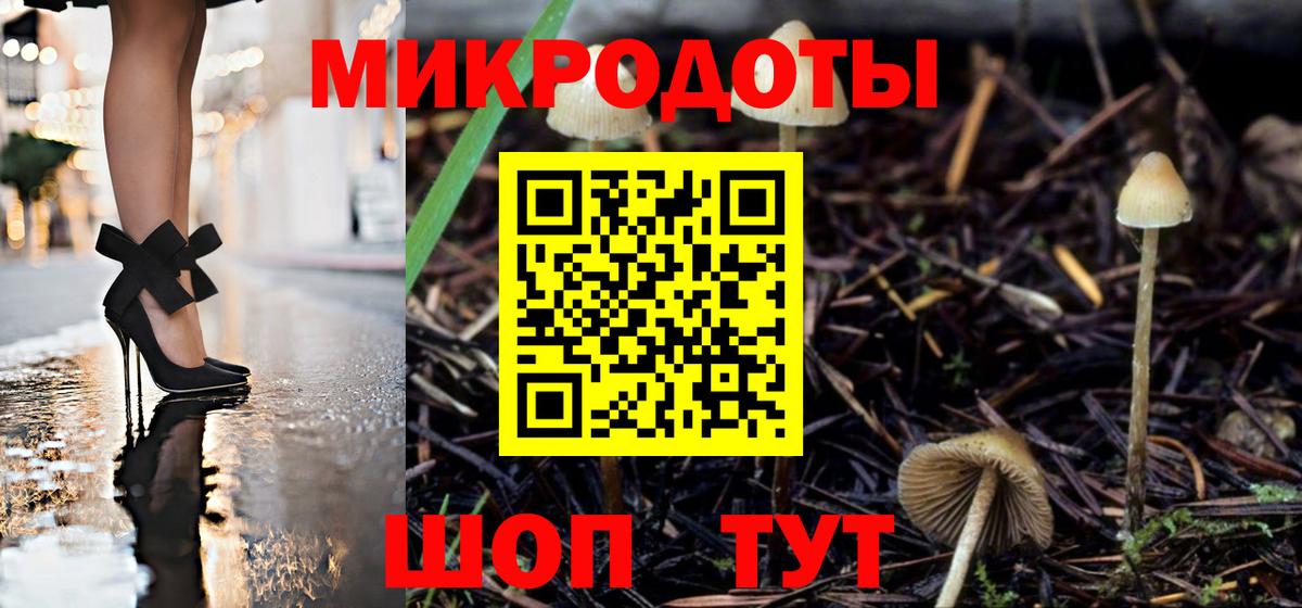 Псилоцибиновые грибы Psilocybine cubensis Волгоград