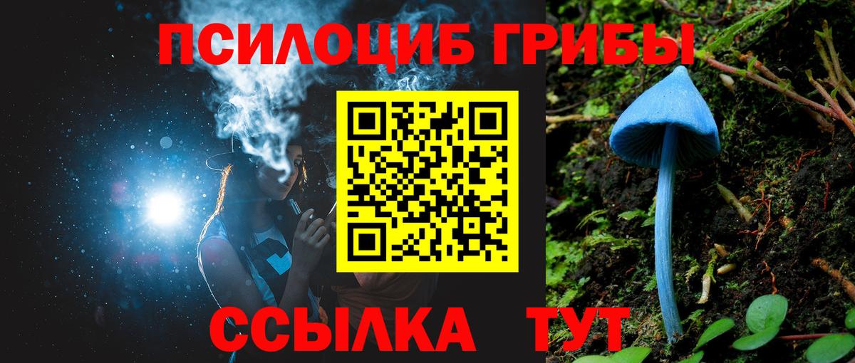 Галлюциногенные грибы Psilocybine cubensis  Галлюциногенные грибы Cubensis  Вход с VPN  Волгоград 